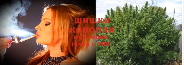 дурь Бежецк