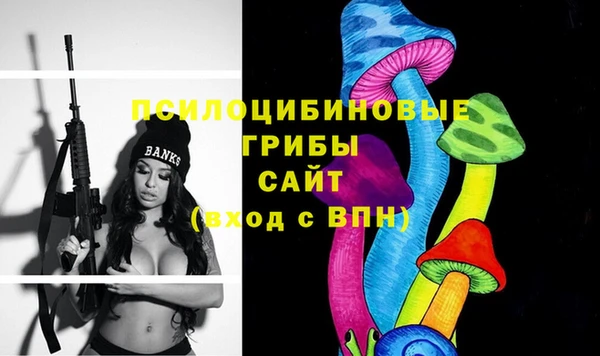 прущая мука Белая Холуница